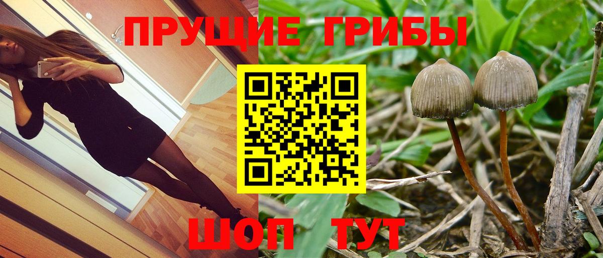 Псилоцибиновые грибы мицелий  Галлюциногенные грибы мицелий  Вход с VPN  Богородск 